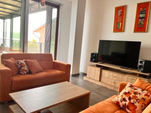 un soggiorno con divano e TV a schermo piatto di Villa Tatjana Apartments a Struga