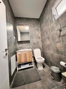 un bagno con un water e un lavandino di Villa Tatjana Apartments a Struga Altre 29 foto