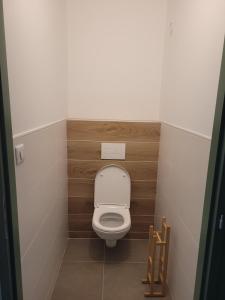 Baño pequeño con aseo en una cabina en Appartement 2 chambres avec jardin Gap Charance Hautes-Alpes, en Gap