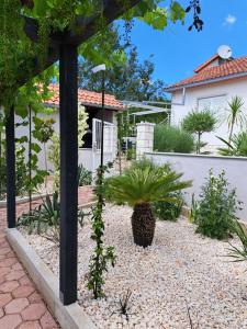 a garden in front of a house at Landhaus Camelia in Otavice