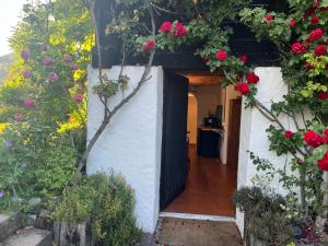 Zahrada ubytování Charming alps apartment perfect for walk/cycle/ski