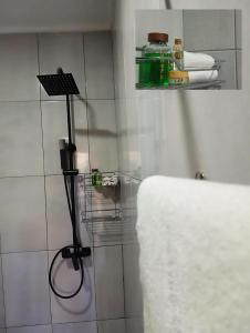 a bathroom with a towel rack and a towel at Dolfijn Studios in Paramaribo