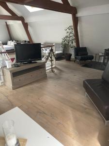 TV a/nebo společenská místnost v ubytování Duplex centre bruxelle