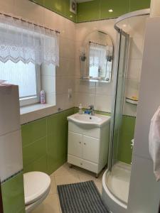 WilkowoにあるWilkowski zakątekの洗面台、シャワー、トイレ付きのバスルーム