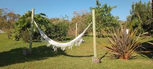 een hangmat in een veld naast een plant bij Cabana do Lago in Nonoai