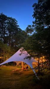 a white tent in a field at night at SENSI - glampingtenten midden in de bossen in Oostkamp