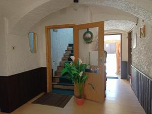 Fotografie z fotogalerie ubytování Apartmány Merkel v Broumově