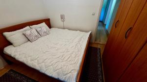 Gallery image of Balkan Vibe Apartments in Žabljak