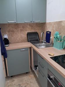 a kitchen with a sink and a counter top at Les Bruneilles in Dracy-le-Fort