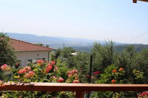 Paesaggio naturale nelle vicinanze del campeggio