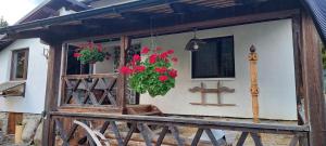 摩尔多维察Doru' Bucovinei的一栋侧面有鲜花的房子