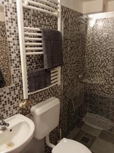 a bathroom with a toilet and a sink and a shower at 20 Bakancs Apartman in Esztergom