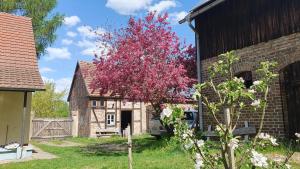 Zahrada ubytování Forsthaus Großmenow
