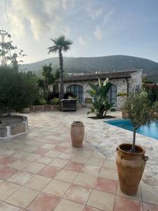 un patio con una casa y una palmera en Finca la Jarra, en Benitachell