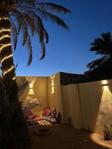 达哈布Nada house的一间有一面墙、上面有灯、还有一棵棕榈树的房间