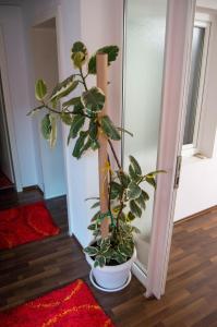 Gambar di galeri bagi Relax Rooms Visoko di Visoko