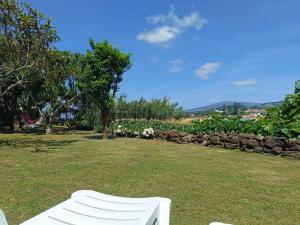 a white bench sitting in the grass in a park at Casa dos Narizes in Angra do Heroísmo