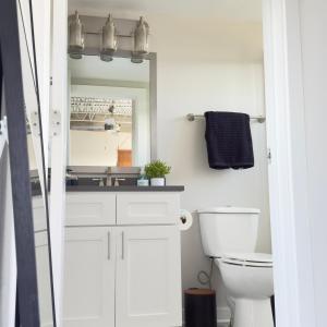 a bathroom with a white toilet and a mirror at Scenic Serenity, dtown, gym, free parking in Mobile +12 photos