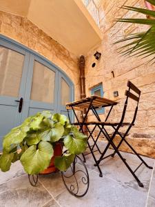 a chair and a plant in front of a building at Kappella boutique in Malta in Żurrieq