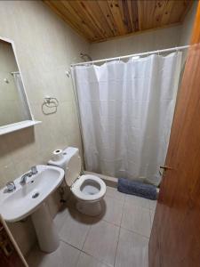 a bathroom with a toilet and a sink and a shower at Departamentos Los Abuelos in General Acha
