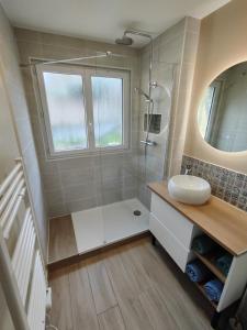 a bathroom with a shower and a sink at Appartement Confort Cholet in Cholet