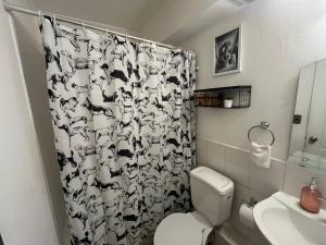 Gallery image of Apartamento Boldo Curico in Curicó