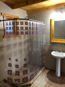 ein Badezimmer mit Dusche und Waschbecken in der Unterkunft Apart al Lago in Villa Pehuenia