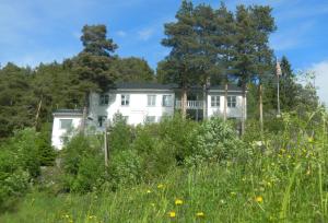 a white house in the middle of a field of flowers at Furulund Pensjonat in Ron
