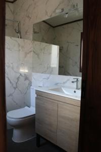 Koupelna v ubytování Nevada Malalcahuello