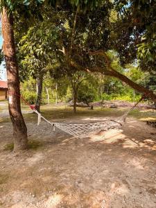 Foto sihtkohas Sauraha asuva majutusasutuse Glampin By Tharu Garden galeriist
