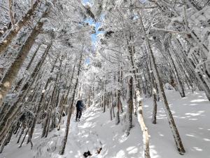 Guesthouse HOALOHA 4 SEASONS v zimě