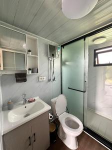 een badkamer met een douche, een toilet en een wastafel bij Nui Stay in Haapiti
