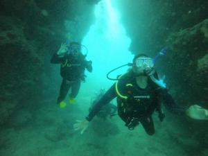 two people are scuba diving in the ocean at Sailing Vessel Summer Jo 2 Night Voyage, Pricing is for 2 Nights All Inclusive Food in Airlie Beach +4 photos