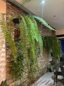 a brick wall with a plant growing on it at Casa linda em Goianésia! in Goianésia