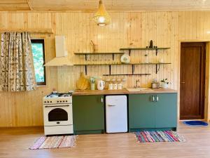 a kitchen with green and white appliances in a room at Chalet Harmony in Bagdatʼi