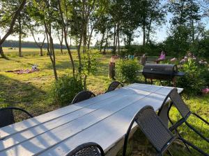 a picnic table with chairs and a grill in a park at Nad stawem dom in Pietkowo +6 photos