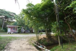 a small house in the middle of a forest at NP โฮมสเตย์ นอนเต็นท์ติดแอร์ in Ban Kaeng Manao