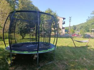 a dog is standing on a trampoline at Complex Adela Transfăgărășan in Cârțișoara
