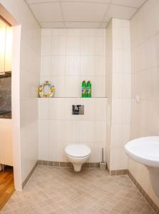 een badkamer met een toilet en een wastafel bij Metsa 49 Apartment in Haapsalu