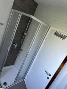 a shower with a glass door in a bathroom at House Egger - Top 202 in Bad Kleinkirchheim