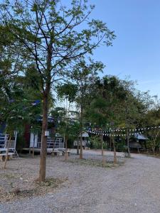 a group of trees with flags in a park at NP โฮมสเตย์ นอนเต็นท์ติดแอร์ in Ban Kaeng Manao