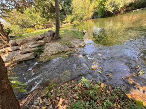 a stream of water with rocks and trees in a park at NP โฮมสเตย์ นอนเต็นท์ติดแอร์ in Ban Kaeng Manao