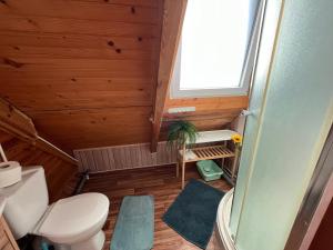 un piccolo bagno con servizi igienici e finestra di Apartament pod Dębem II a Dąbki