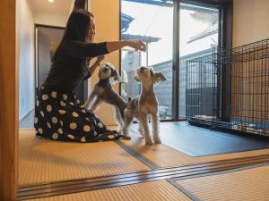 松江市にある松江日和 by HIYORISTAYの子犬2匹遊ぶ女
