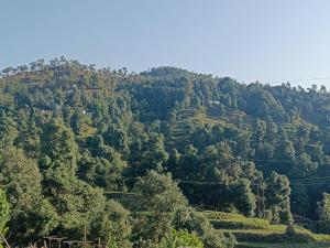 auliculiculiculiculiculiculiculiculiculiculiculiculiculiculic at Jai Bholenath home stay in Jageshwar