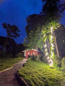 Rasta Homestay Sakleshpur في ساكليشبور: منزل فيه شجرة وعليها انوار