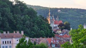 a view of a town with a castle and trees at Iosif 55 in Sighişoara