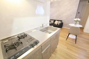 Kuchyň nebo kuchyňský kout v ubytování フォルモント寺田町 203