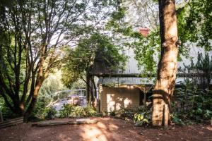 a house in a forest with a tree at Woolrich Historic Garden Cottage in Olinda