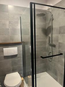 un bagno con doccia e WC di KEARL, studio neuf soleil et détente a Les Gets